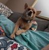 vickybailey1020